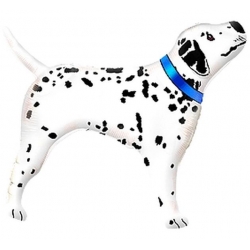 Balon foliowy pies Dalmatyńczyk 60 cm